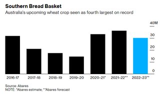 Huge wheat harvest coming in Australia for a hungry world