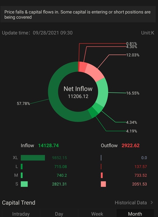 Big whales eating up