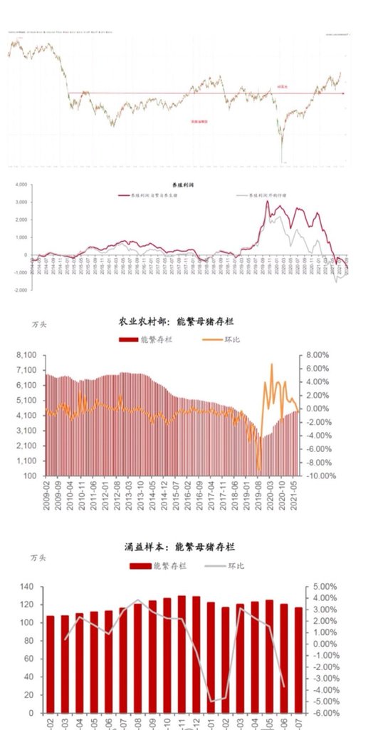 用家里老母猪的生产周期，推演猪周期触底时间和核心逻辑