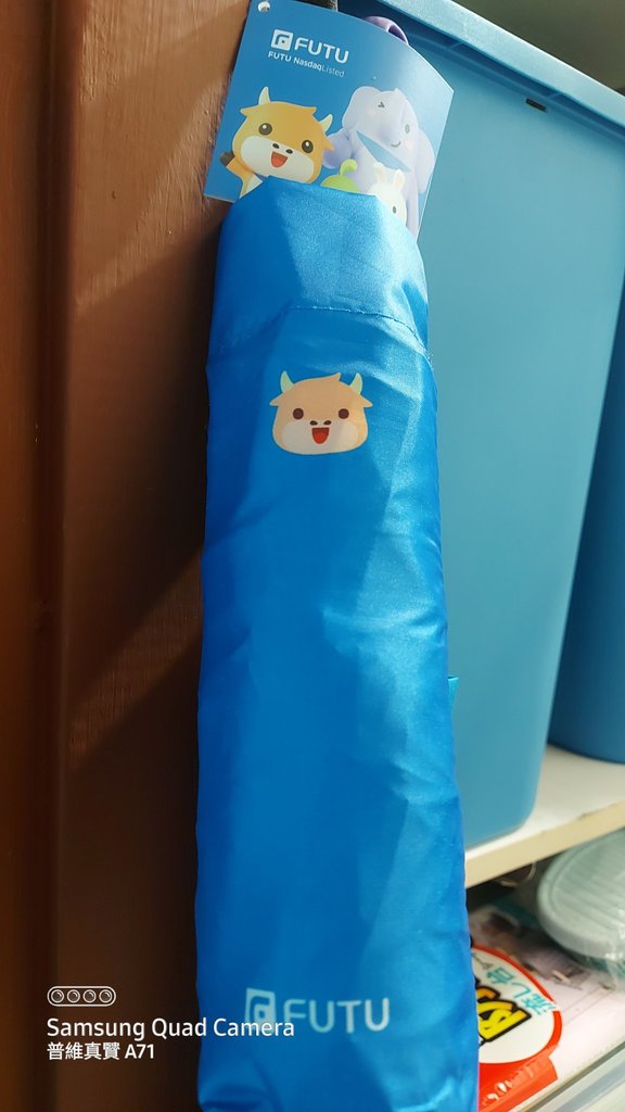 moomoo umbrella