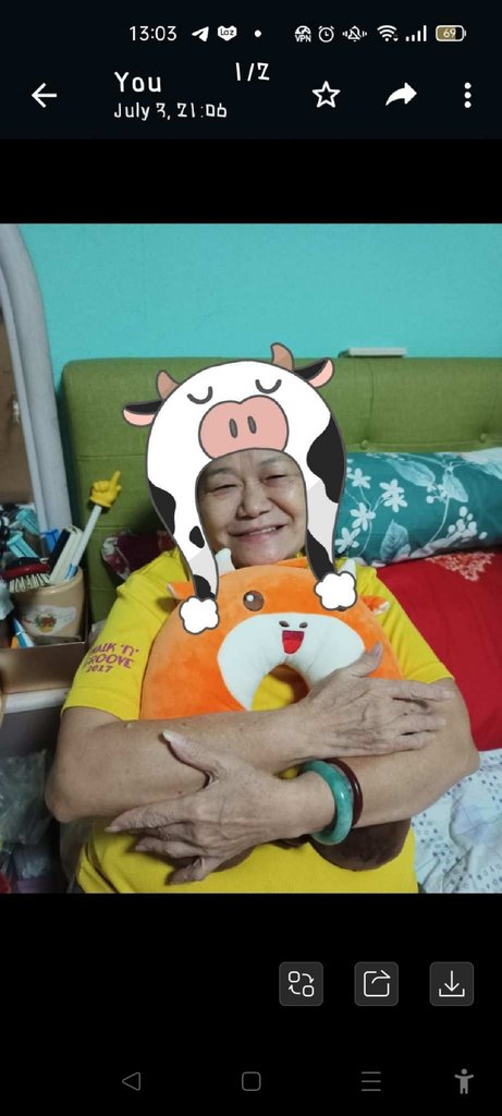 Mum loves the moo moo neck cushion.