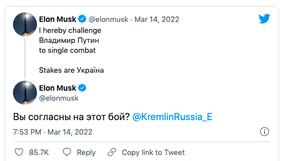 Vote Now | Elon Musk challenges Vladimir Putin for 'single combat', says 'stakes are Ukraine'