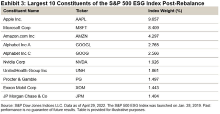 The Largest 10 Constituents of the S&P 500 ESG Index