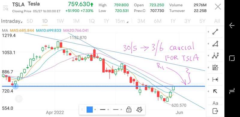 Weekly Buzz: New rally amid a bear market