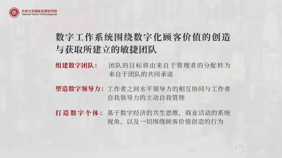 陈春花:企业如何拥有“数字化加速度”?-科记汇