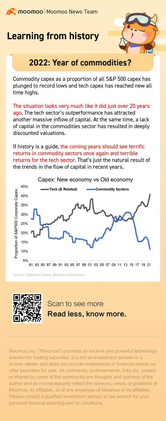 2022: Year of commodities?