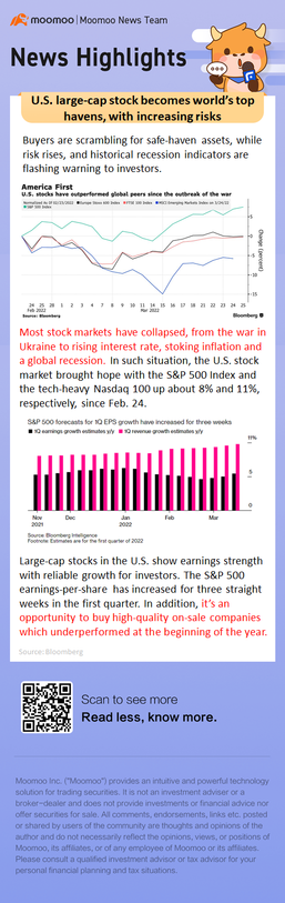 U.S. large-cap stock becomes world's top havens, with increasing risks