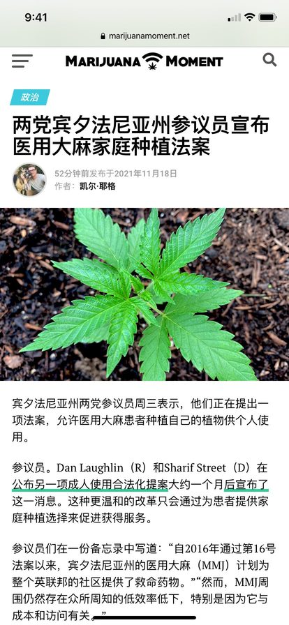 大麻合法化 已经走上正轨