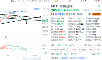 12.17 收市評論：一個接一個的新低出現，該怎麼辦？