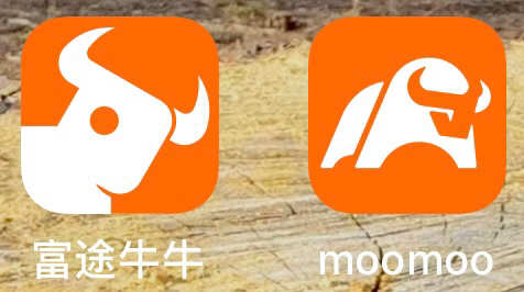 Moomoo专属logo的由来