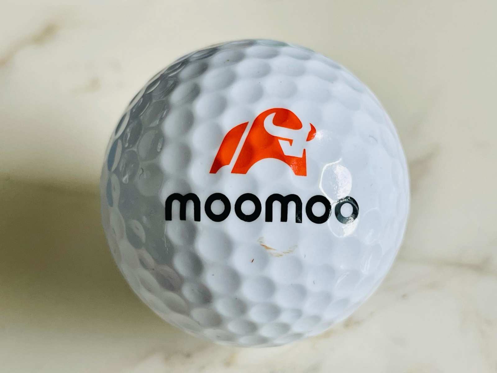 Moomoo专属logo的由来